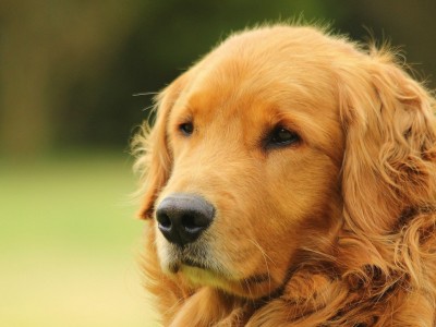 开云体育入口-玻利维亚力克委内瑞拉，世界排名争夺战再掀高潮