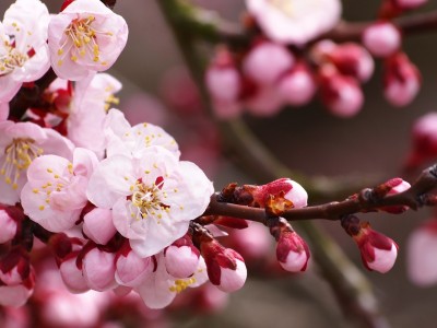 开云体育登录-森林狼铜墙铁壁压制雄鹿，马克西单骑救主成关键先生