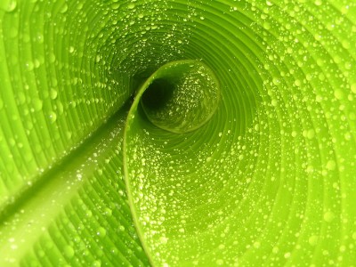 开云官网-关键先生马克西神兵天降，灰熊力斩吉林延续连胜