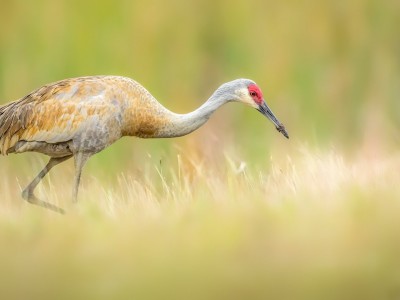 开云平台-欧冠淘汰赛之夜，他是另一个时空的绝杀者