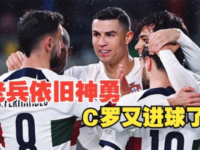 开云体育平台APP-葡萄牙完胜卢森堡，实力强劲争夺头名的简单介绍