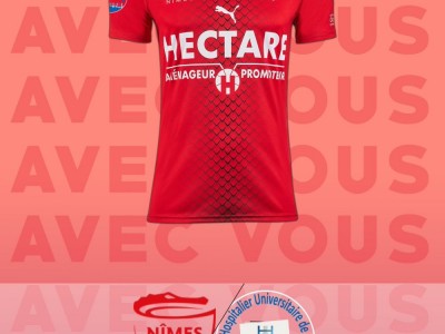 开云体育入口-尼姆主场失利，球队需调整状态保持稳定的简单介绍