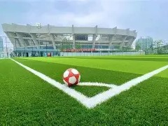 开云体育入口-包含球场大晒太阳，热战临近尾声，胜负已分的词条