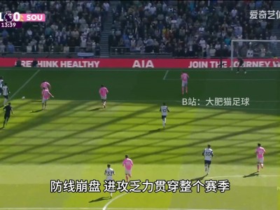 开云体育-南安普顿平局收官，提前确保英超续约