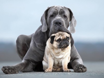 开云体育官方网站-跨界狂欢，2026世界杯之夜的哈登奇迹