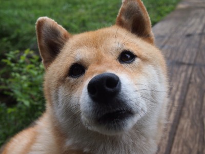 开云体育app-英格拉姆闪耀全场无可争议，尼克斯攻防一体轻取新疆队