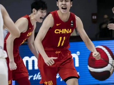 开云体育下载-山西队完胜北京队，范弗利特状态火热