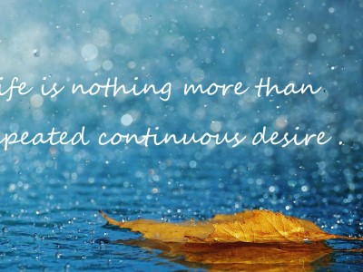 开云体育在线-德甲争冠战之夜，武切维奇如中流砥柱，稳定输出诠释不掉线的珍贵