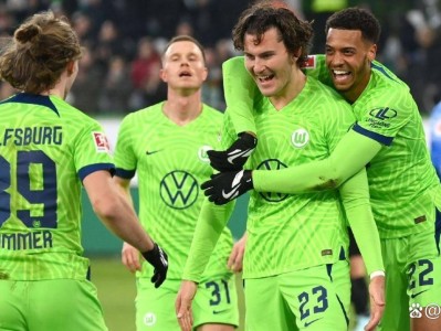 开云体育-沃尔夫斯堡主场憾负弗赖堡，失去领头羊位置的简单介绍