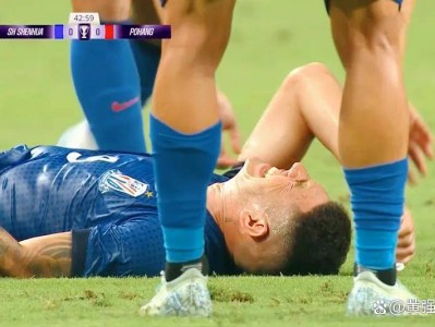 开云体育入口-苏宁战平申花，争夺亚冠席位形势不明朗的简单介绍