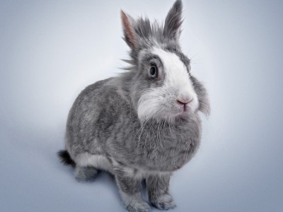 开云平台-亚洲之光伊萨克，当韩国舞步踏碎皇马交响乐