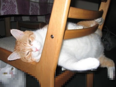 开云体育入口-凯塞多补时绝杀！拉齐奥压哨逆转马竞诠释欧冠血性