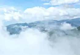 关于实时数据公布,紧张气氛翻涌的信息 关于实时数据公布,紧张气氛翻涌的信息