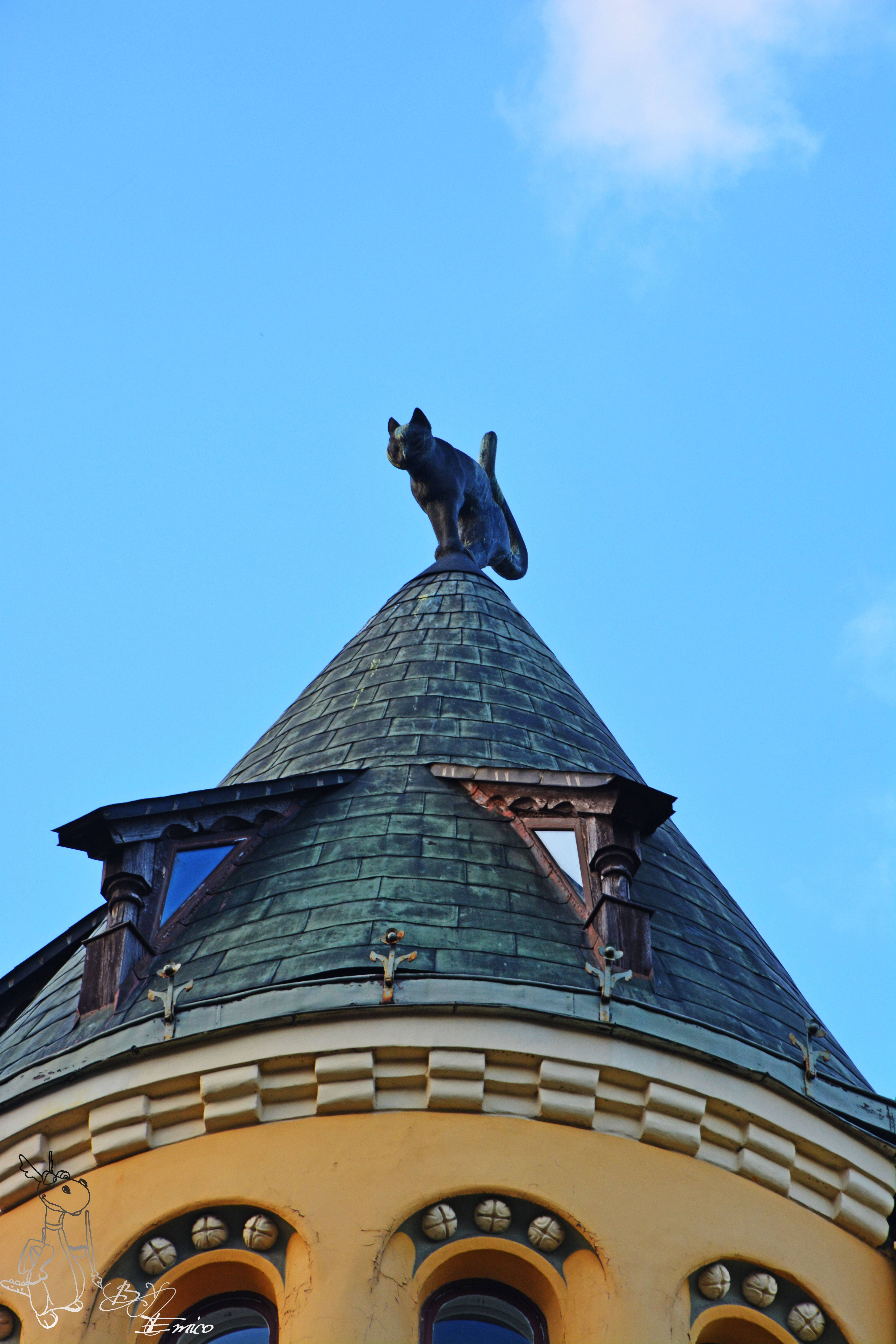 爱沙尼亚战胜立陶宛,欧洲杯携手晋级 爱沙尼亚战胜立陶宛,欧洲杯携手晋级