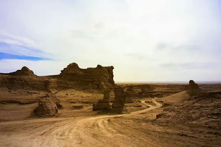 青海队誓死一搏,终获圆满胜利的简单介绍 青海队誓死一搏,终获圆满胜利的简单介绍
