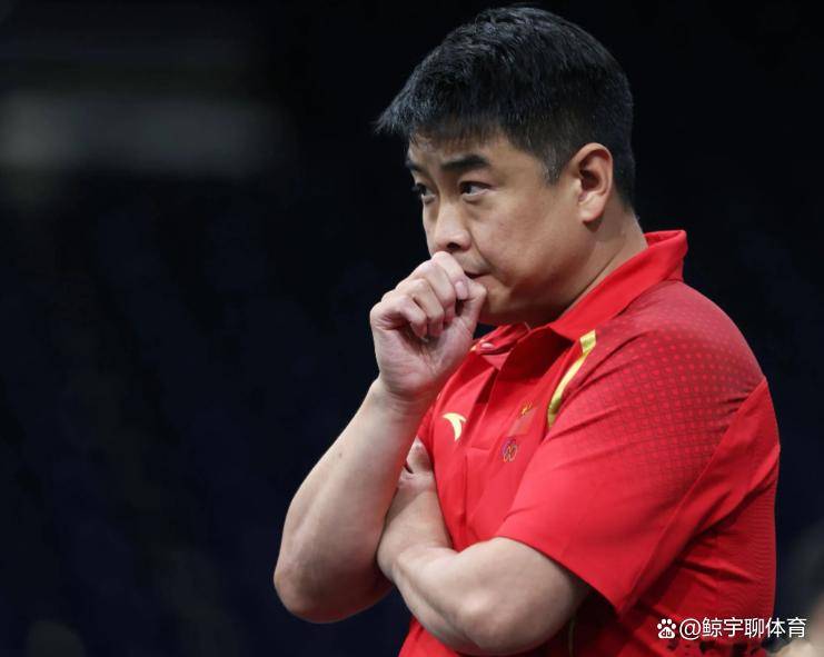 德国乒乓球队翻盘中国乒乓球队，王皓高光表现的简单介绍