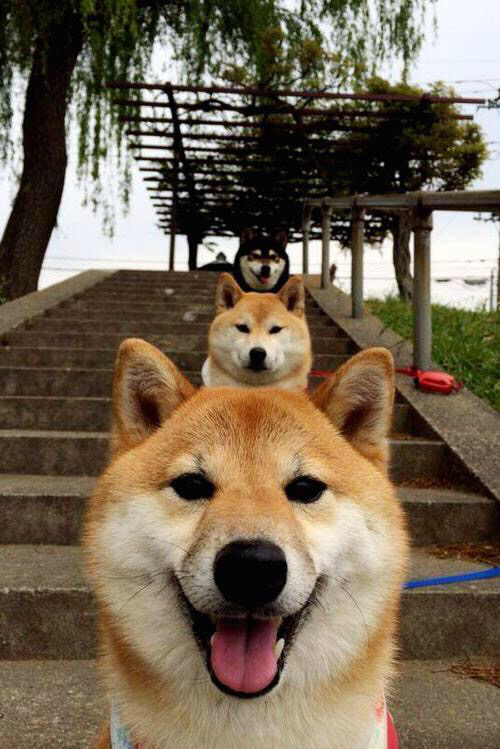 詹姆斯抢七夜的时钟匠，当时间在掌控中凝固