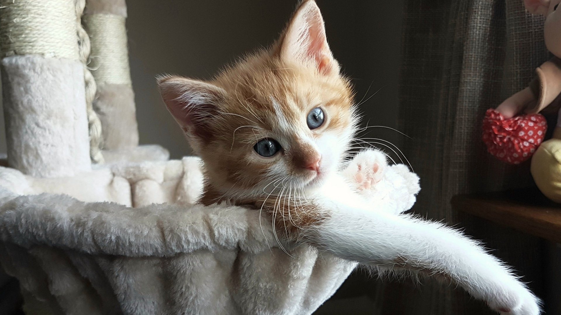 西甲国家德比之夜,星辰对决的东方血脉