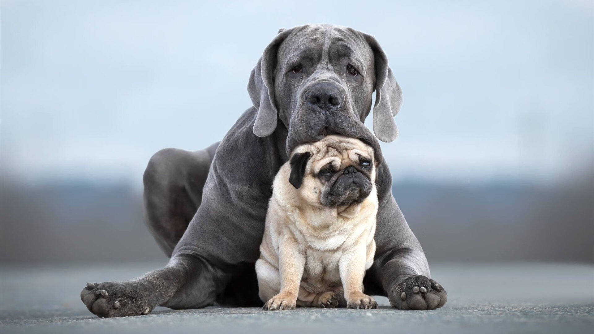 跨界狂欢，2026世界杯之夜的哈登奇迹