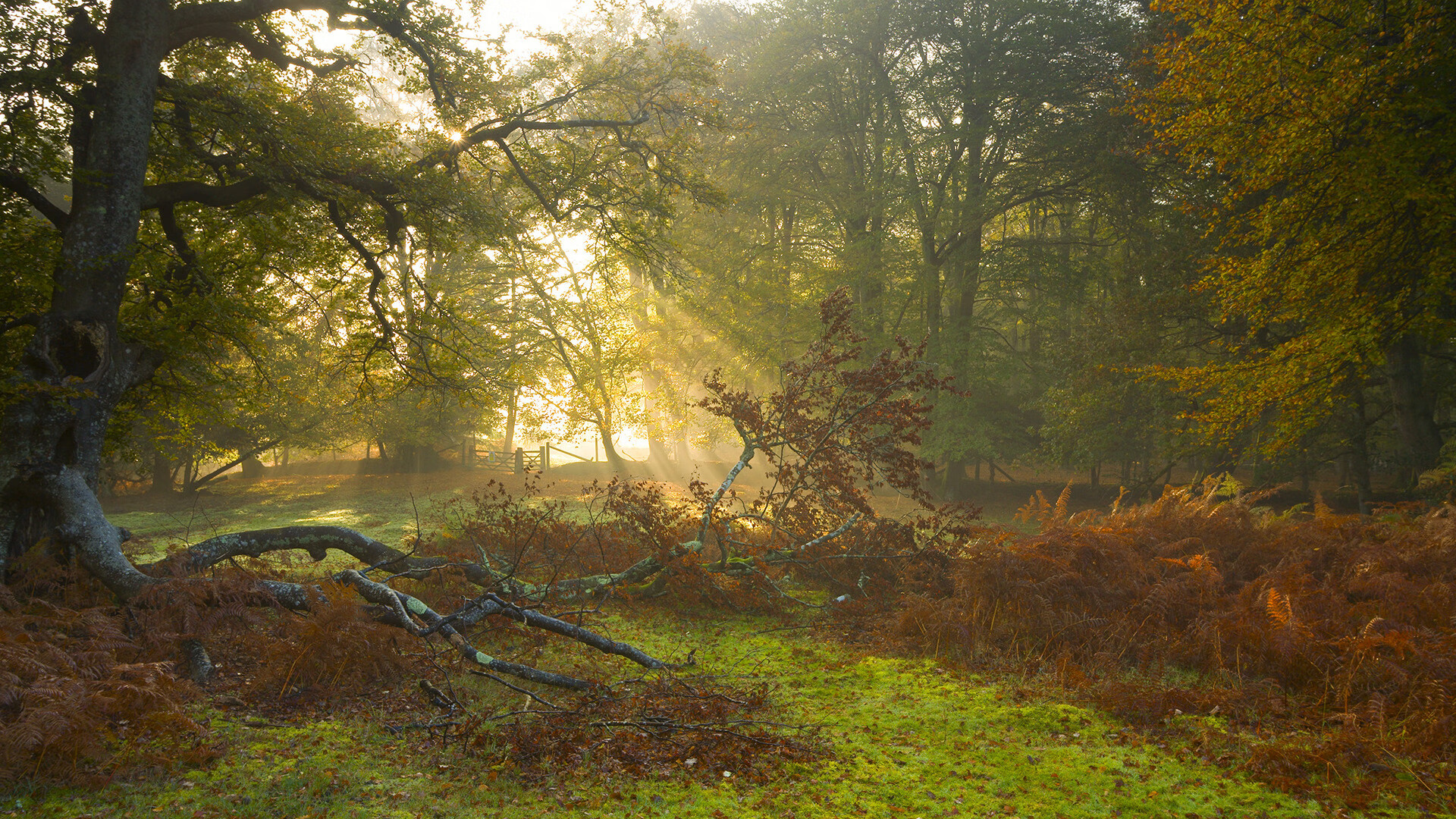 封神之夜，2026世界杯，梅西以最沉默的方式咆哮