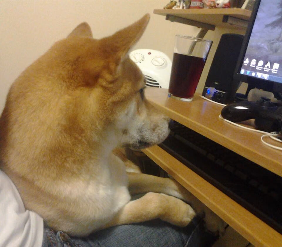 F1年度争冠之夜，隐形主角孔德的存在感为何拉满？