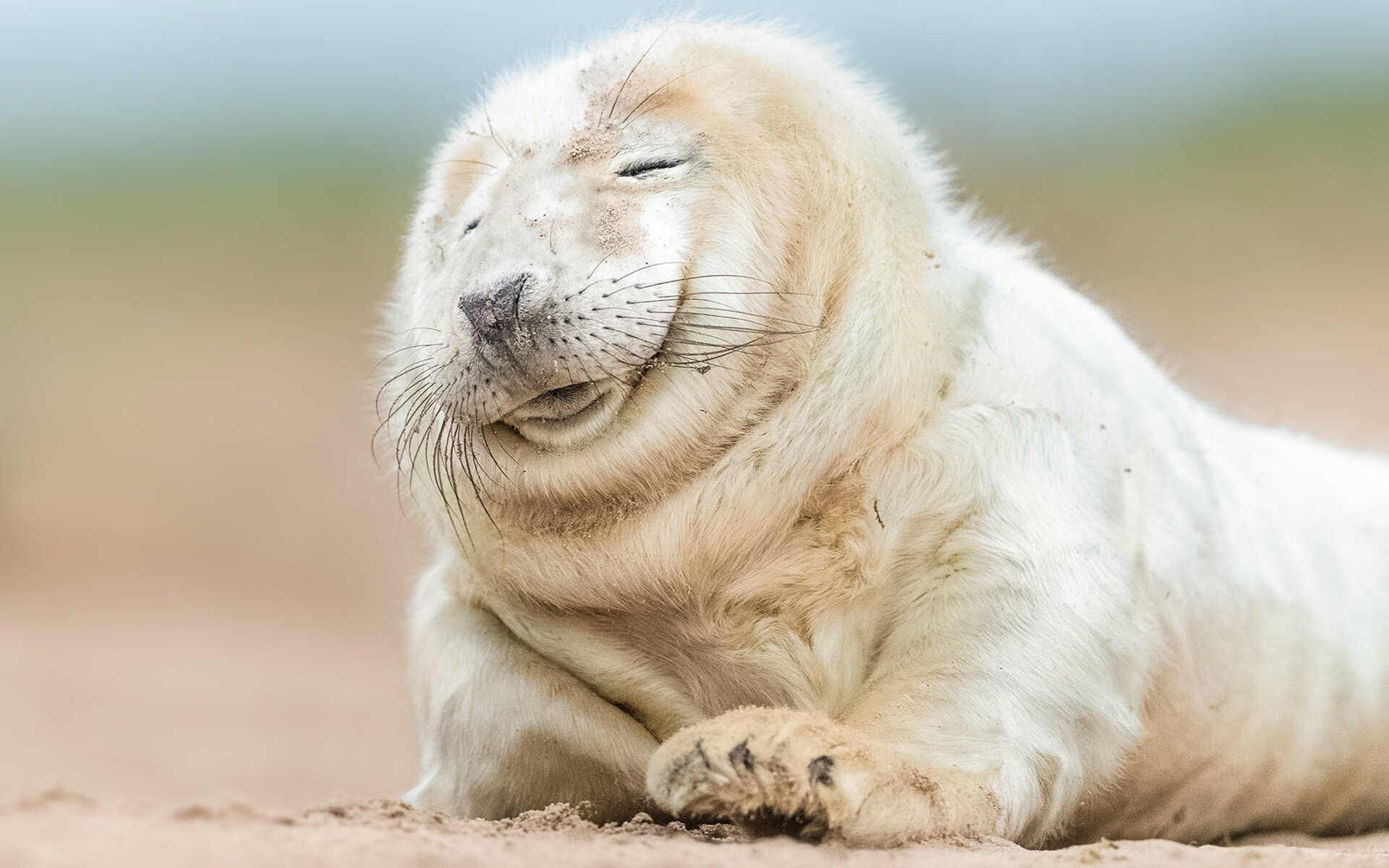 世界排名之夜，奥纳纳用一记逆转证明自己