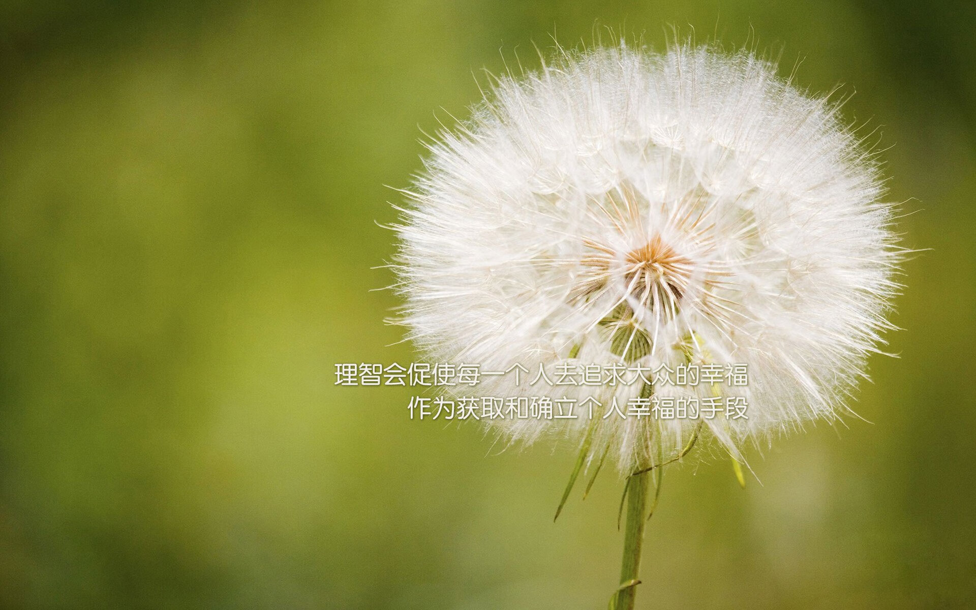 浴火重生，哈登加时救主，勇士险胜掘金