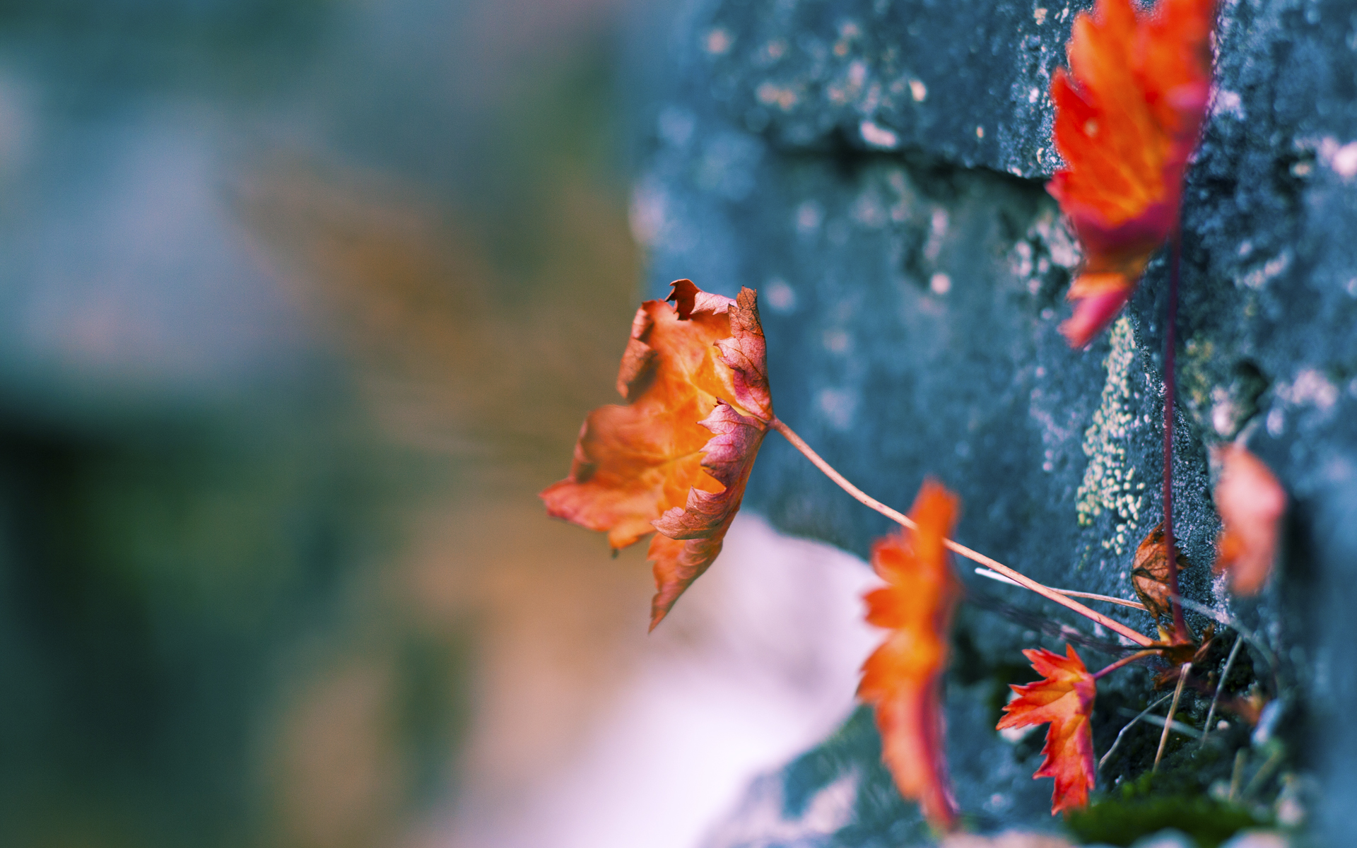 浴火重生，哈登加时救主，勇士险胜掘金