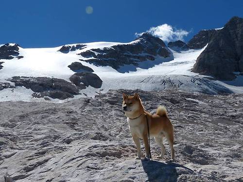 鹰击长空，阳落西山，老鹰在关键东决焦点战中全面压制太阳