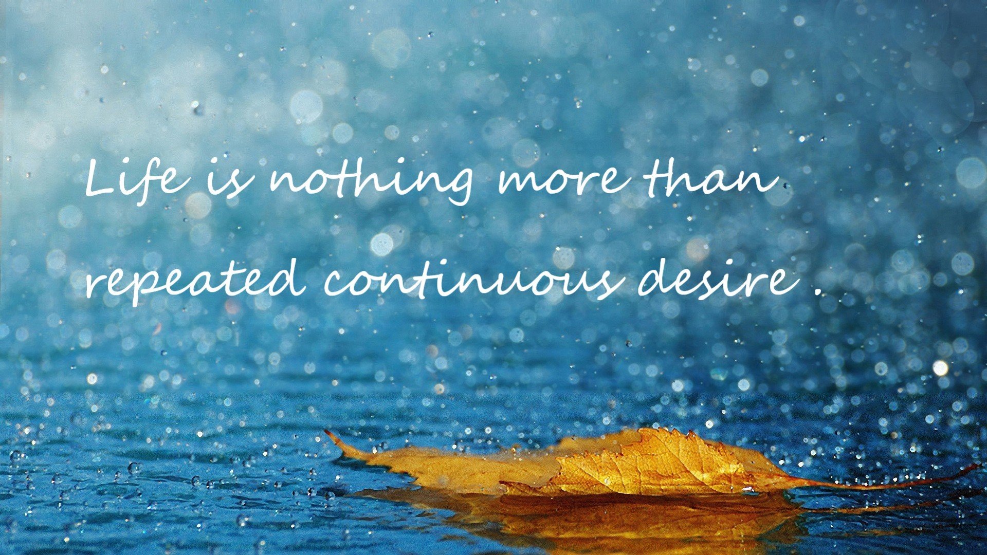 德甲争冠战之夜，武切维奇如中流砥柱，稳定输出诠释不掉线的珍贵