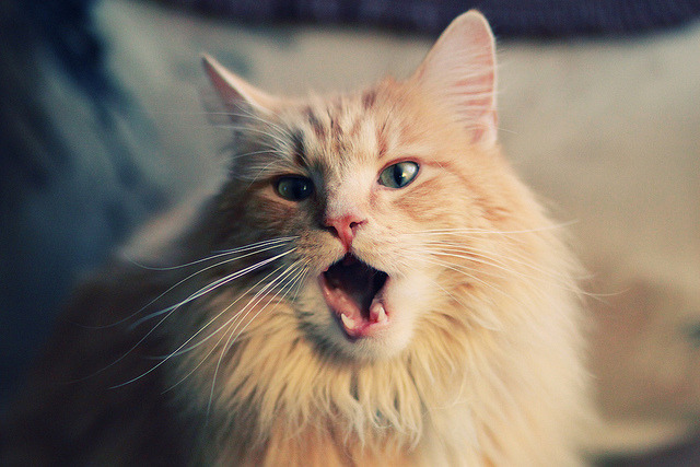 剑锋所指,欧冠半决赛夜的大场面先生德布劳内