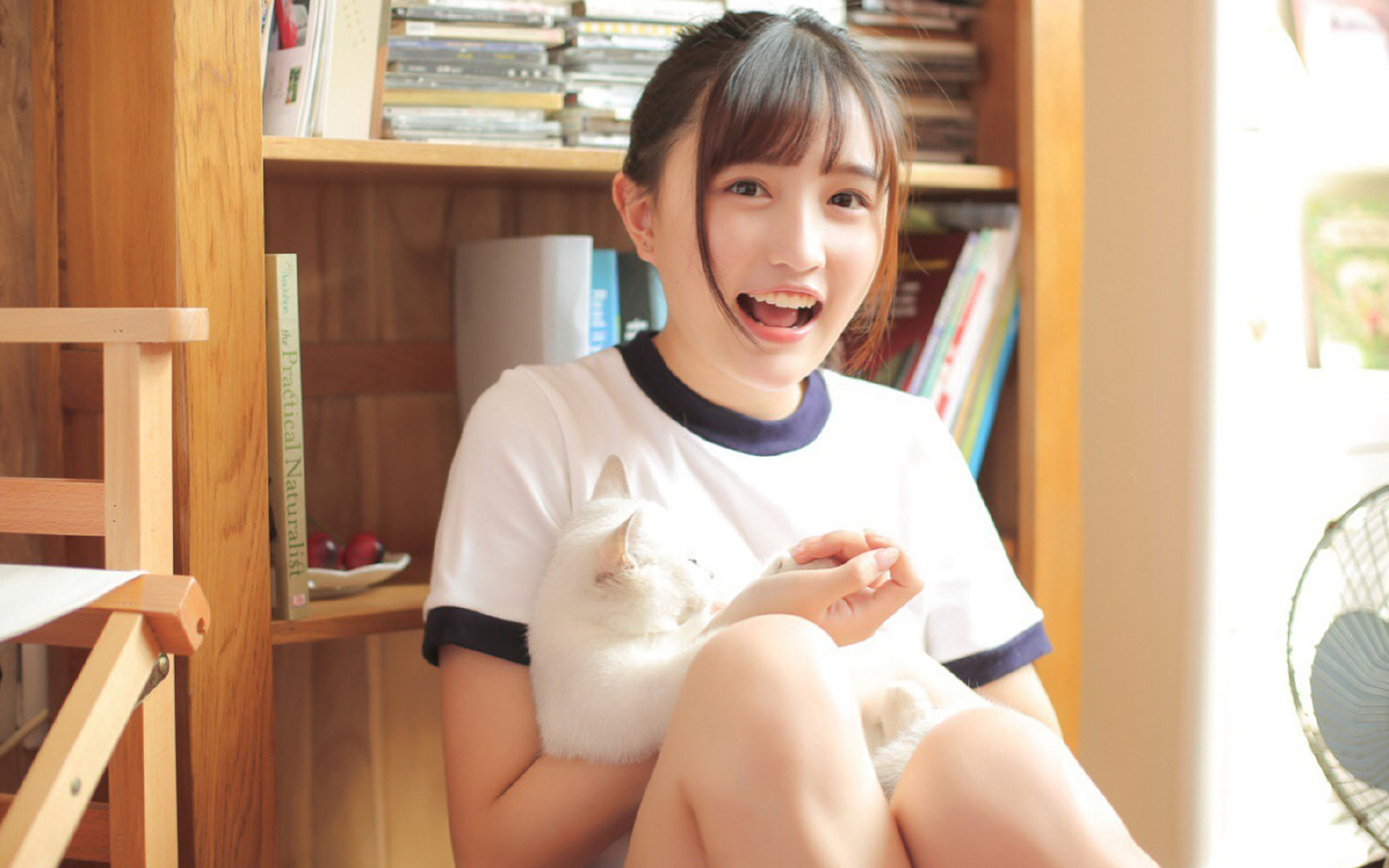 奥运前夜的硝烟,约基奇用金色数据照亮塞尔维亚之路